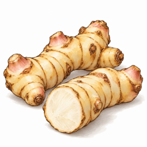ナンキョウ