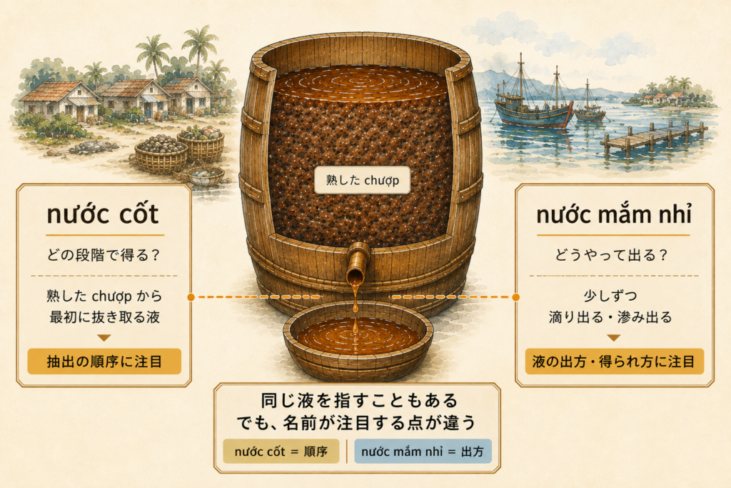 Nước cốtとnước mắm nhỉの違いを示す図
