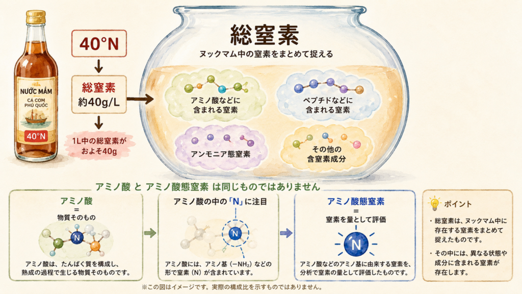 ヌックマムの総窒素にはさまざまな形の窒素が含まれることを示す図